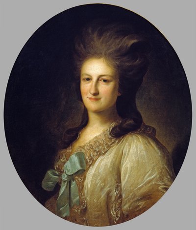 Retrato de V.E. Novosiltsova de Fyodor Rokotov